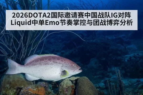 2026DOTA2国际邀请赛中国战队IG对阵Liquid中单Emo节奏掌控与团战博弈分析